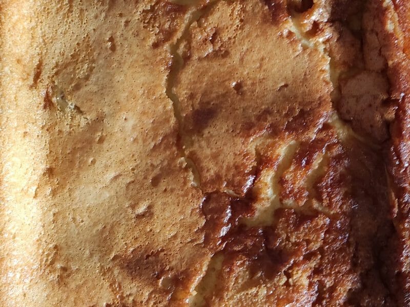 Cliquez pour zoomer ! Clafoutis aux poires et aux raisins secs Thermomix par WonderKatia