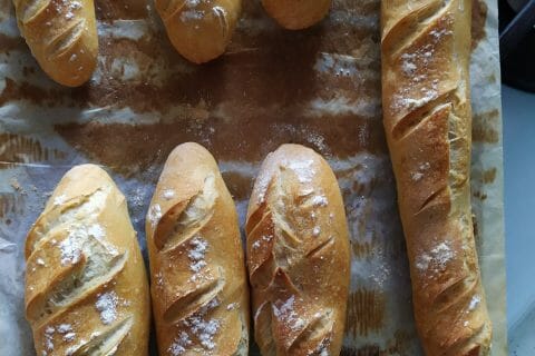 Cliquez pour zoomer ! IMG_20200409_092914