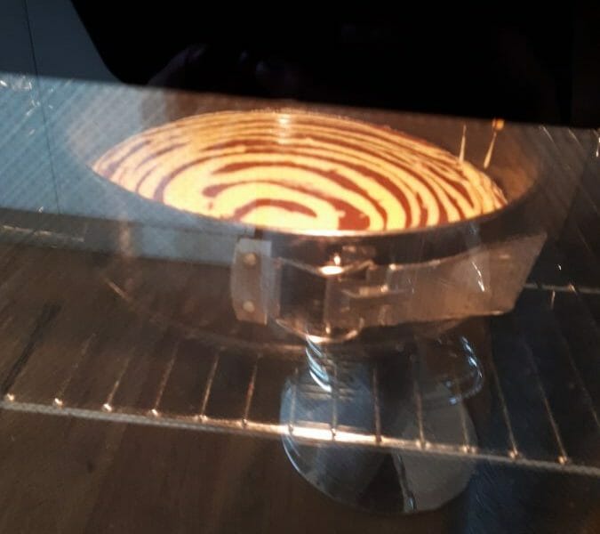 Cliquez pour zoomer ! Gâteau zébré Thermomix par audeviolette