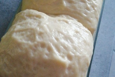 Cliquez pour zoomer ! Brioche vaporeuse Thermomix par Al