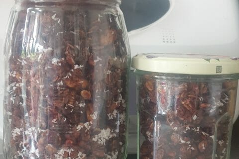 Cliquez pour zoomer ! Granola au chocolat Thermomix par Audrey91310