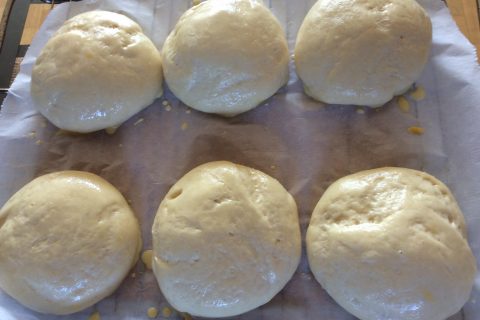 Cliquez pour zoomer ! Pains hamburger au Thermomix