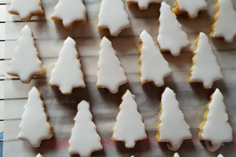 Photos des recettes