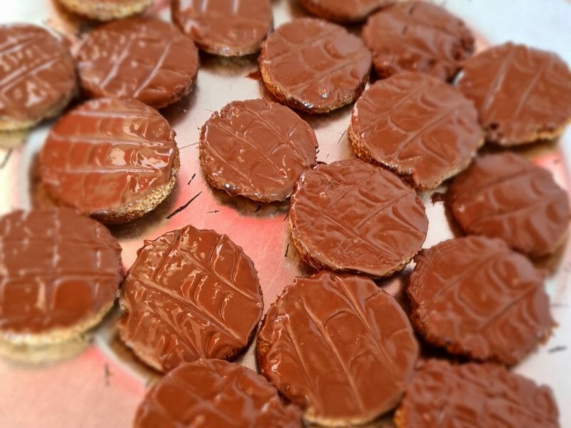 Cliquez pour zoomer ! Biscuits Granola Thermomix par Sanilo