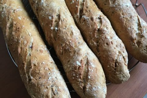 Cliquez pour zoomer ! Photo de elocat1967