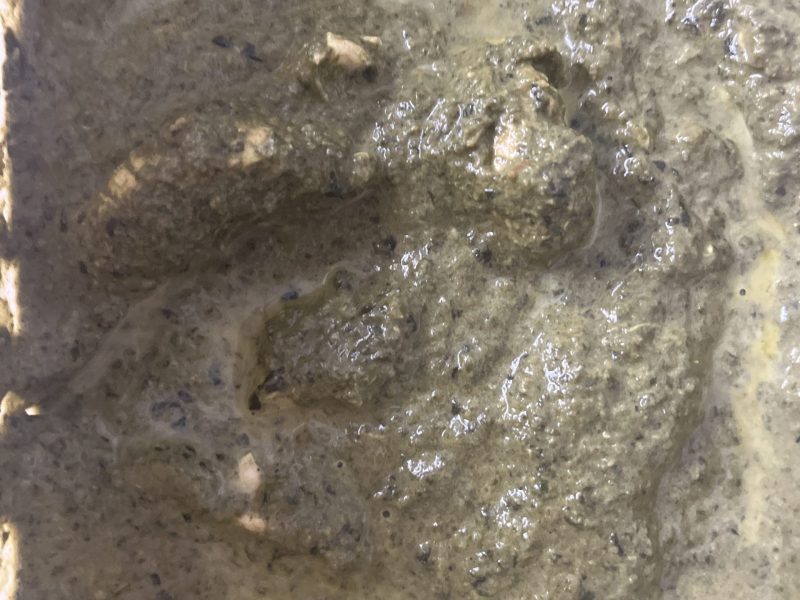 Cliquez pour zoomer ! Poulet Palak Thermomix par orely97419