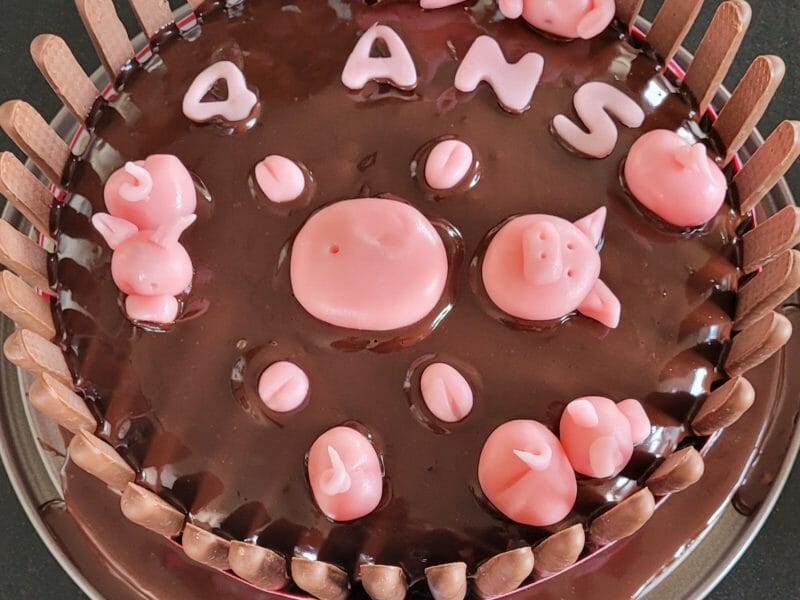 Cliquez pour zoomer ! La mare aux cochons Thermomix par Laura_17