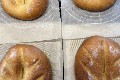 Cliquez pour zoomer ! Pompe de Noël à l’huile d’olive Thermomix par Les Gourmandises de Zézette