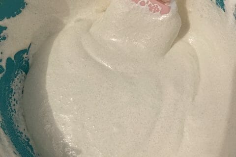 Cliquez pour zoomer ! Macarons Thermomix par NiNi