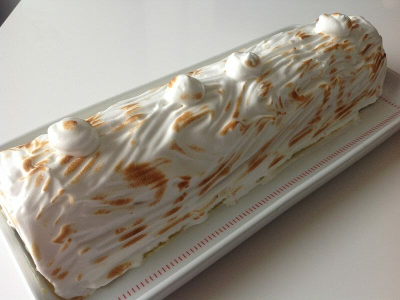 Cliquez pour zoomer ! Bûche glacée mangue et framboise Thermomix par Cathy14