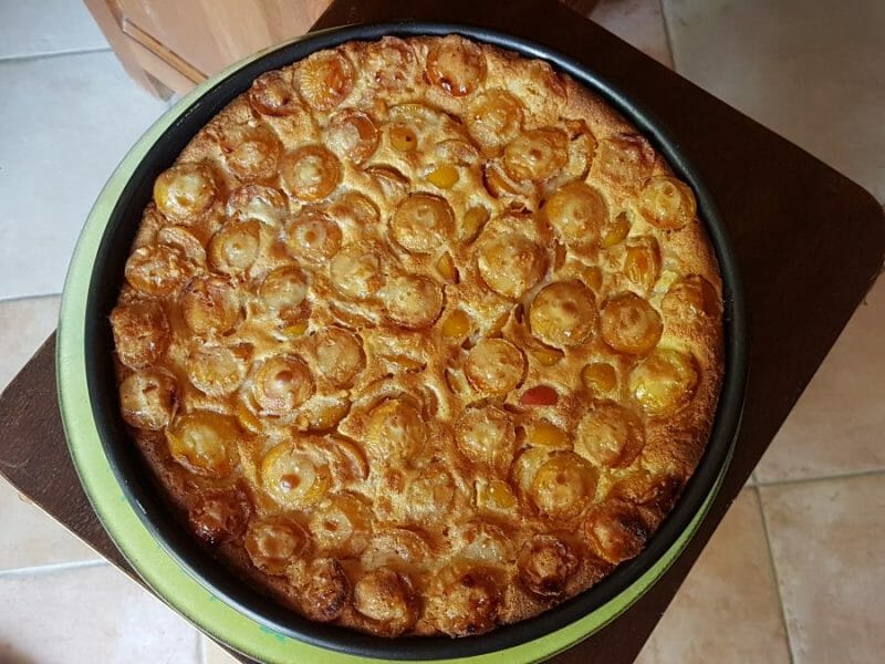 Cliquez pour zoomer ! Clafoutis aux mirabelles Thermomix par Michelle24