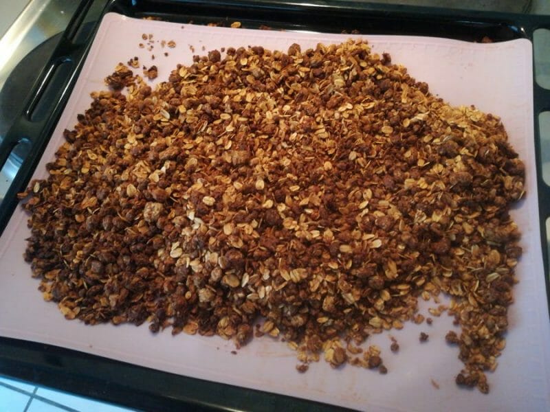 Cliquez pour zoomer ! Muesli Thermomix par Soniam