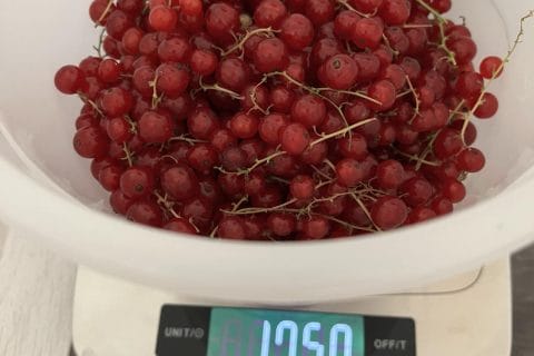 Cliquez pour zoomer ! Gelée de groseilles Thermomix par yonea