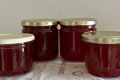 Cliquez pour zoomer ! Gelée de groseilles Thermomix par yonea