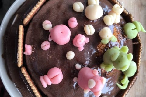 Cliquez pour zoomer ! La mare aux cochons Thermomix par jota76