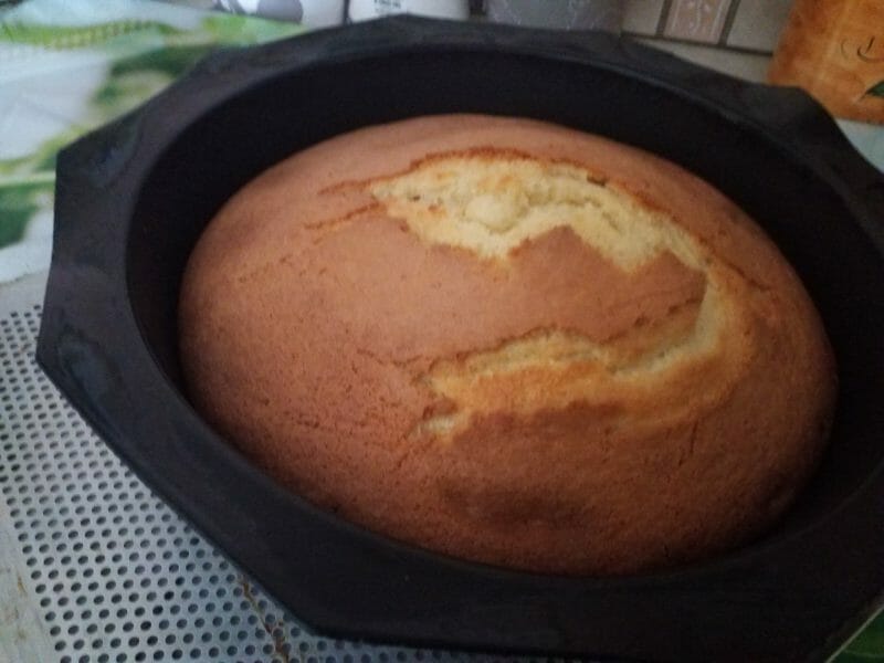 Cliquez pour zoomer ! Gâteau au vin blanc Thermomix par Moune