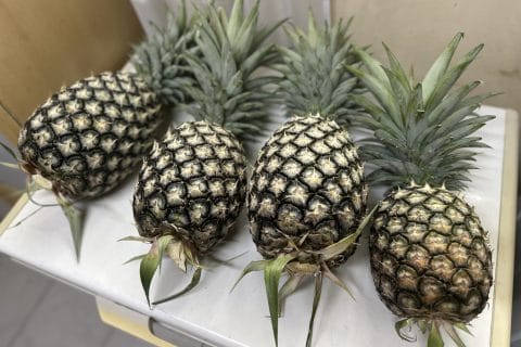 Cliquez pour zoomer ! Sorbet Ananas Thermomix par anne_781