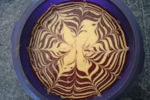 Cliquez pour zoomer ! Gâteau zébré Thermomix par nelly82