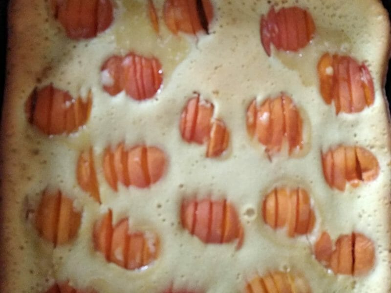 Cliquez pour zoomer ! Far aux abricots Thermomix par juju31470