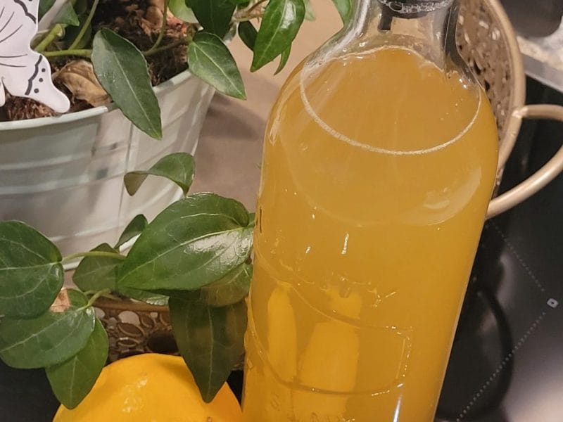 Cliquez pour zoomer ! Sirop de citron Thermomix par Zounko