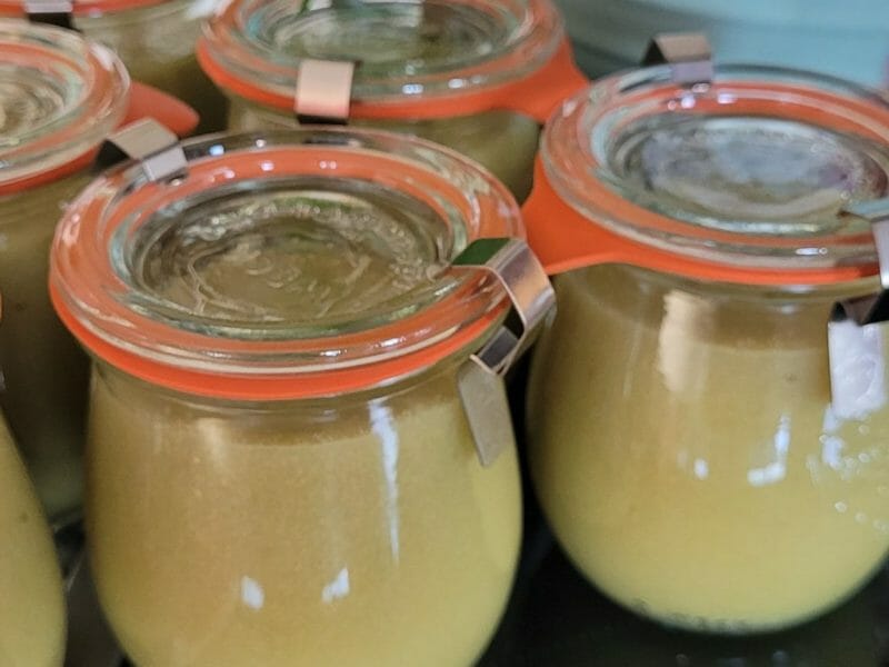 Cliquez pour zoomer ! Compote de rhubarbe Thermomix par Zounko