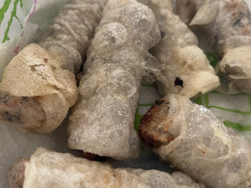 Cliquez pour zoomer ! Nems au poulet Thermomix par Fanny_11