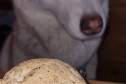 Cliquez pour zoomer ! Cookies sans oeufs Thermomix par gwenalex39