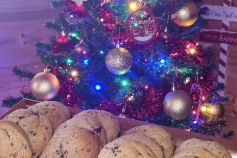 Cliquez pour zoomer ! Cookies sans oeufs Thermomix par gwenalex39