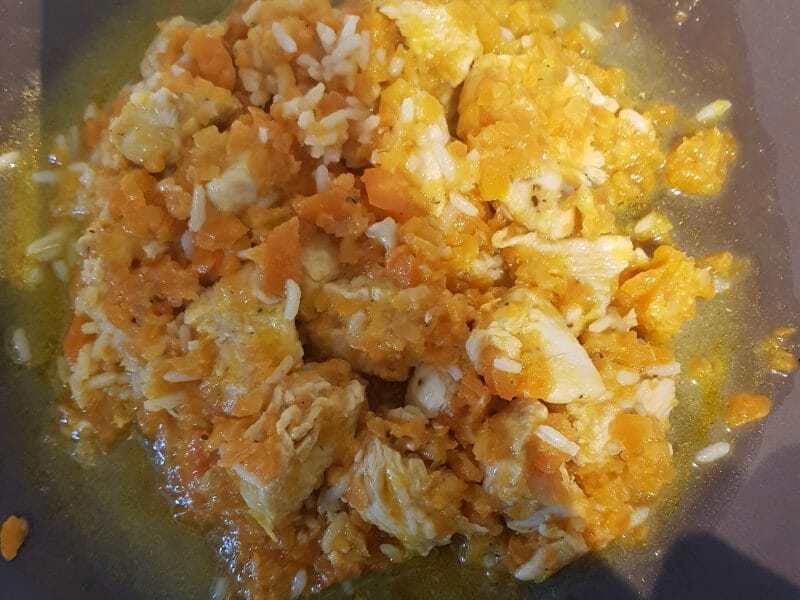 Cliquez pour zoomer ! Bouchées de poulet aux carottes Thermomix par Sabrina_9