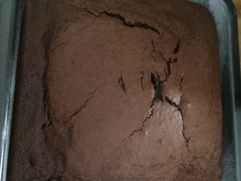 Cliquez pour zoomer ! Gâteau au chocolat et courgettes Thermomix par Titia51