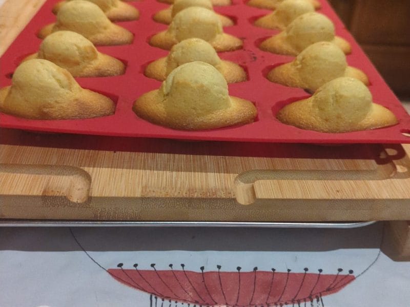 Cliquez pour zoomer ! Madeleines Thermomix par mamandine5782