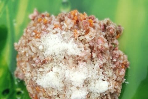 Photos des recettes