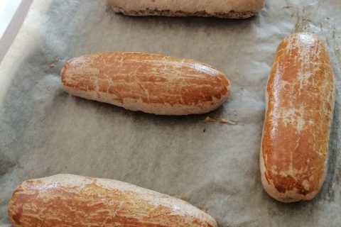 Cliquez pour zoomer ! Pain à hot-dog au Thermomix