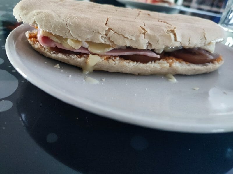 Cliquez pour zoomer ! Panini Thermomix par Lillie59