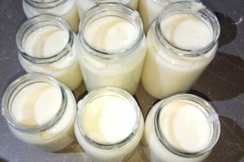Cliquez pour zoomer ! Crème dessert à la noix de coco au Thermomix