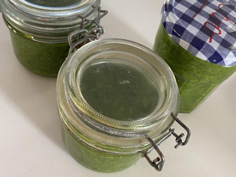 Cliquez pour zoomer ! Pesto à l’ail des ours Thermomix par bebe1510