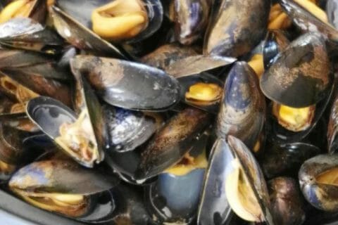 Photos des recettes