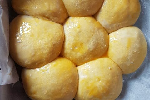 Cliquez pour zoomer ! Brioche Buchty Thermomix par EloiseRibailMosca