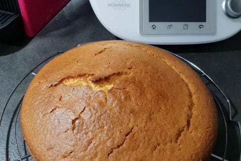 Gateau A L Orange Au Thermomix Cookomix