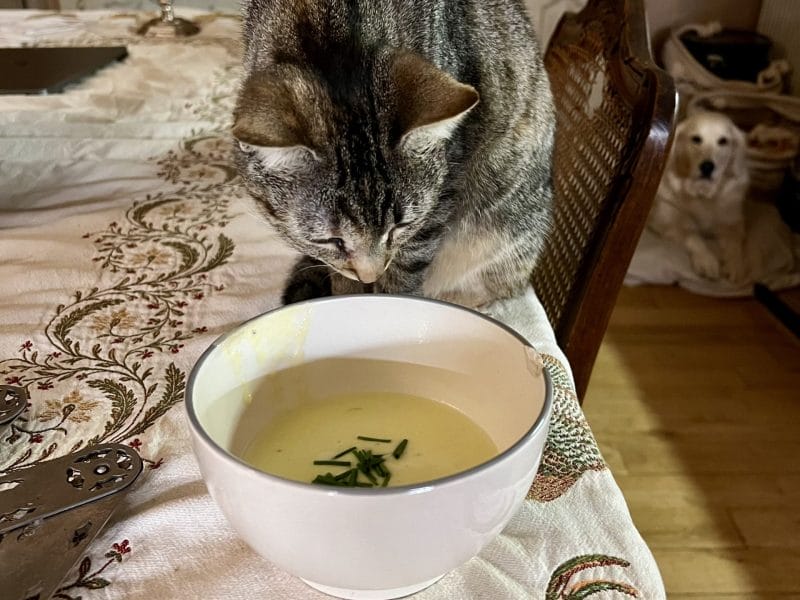 Cliquez pour zoomer ! Vichyssoise Thermomix par MarionB51