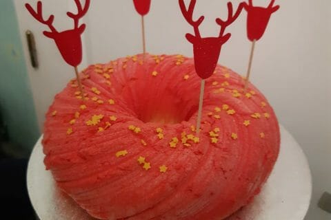 Cliquez pour zoomer ! Bûche glacée mangue et framboise Thermomix par ManonFeu