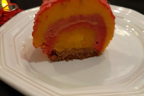 Cliquez pour zoomer ! Bûche glacée mangue et framboise Thermomix par ManonFeu