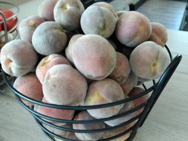 Cliquez pour zoomer ! Photo de roxy41 Thermomix par roxy41