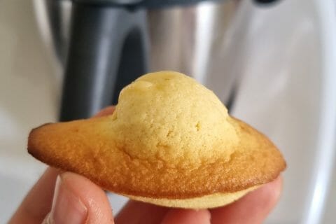 Cliquez pour zoomer ! Madeleines Thermomix par fouz1806