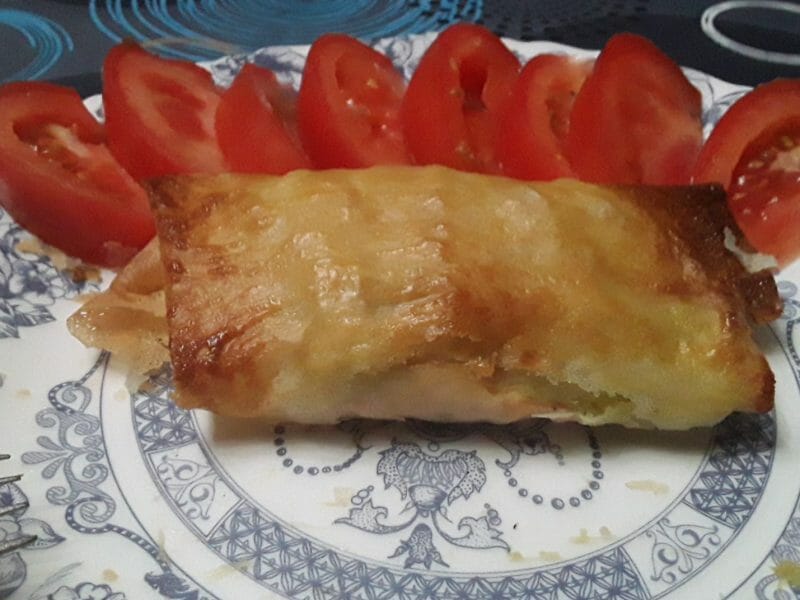 Cliquez pour zoomer ! Brick de saumon et poireaux Thermomix par CandyNeige