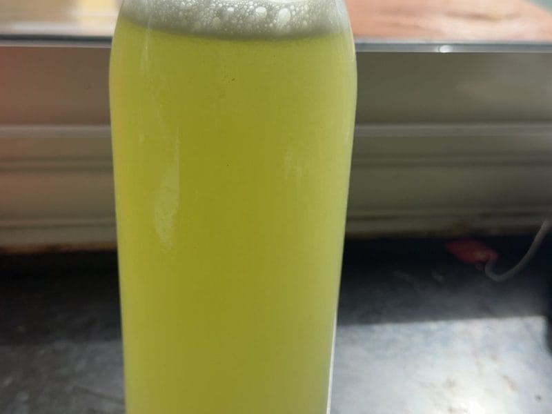 Cliquez pour zoomer ! Limonade au concombre Thermomix par nour_79