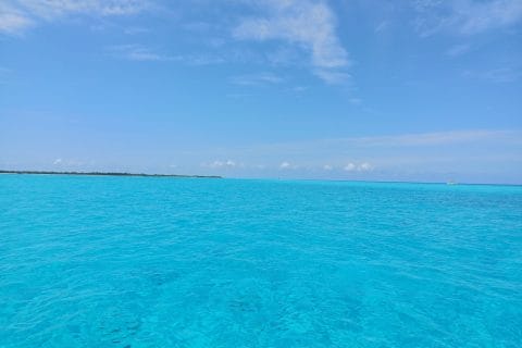 Cliquez pour zoomer ! Photo de mary12775 Thermomix par mary12775