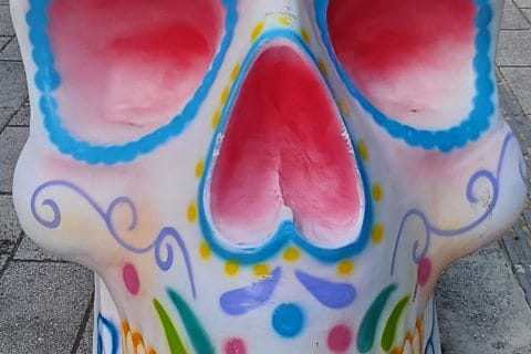 Cliquez pour zoomer ! Photo de mary12775 Thermomix par mary12775