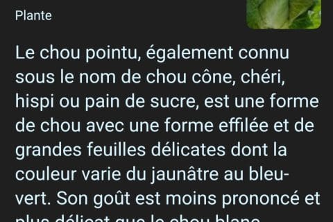 Cliquez pour zoomer ! Photo de mary12775