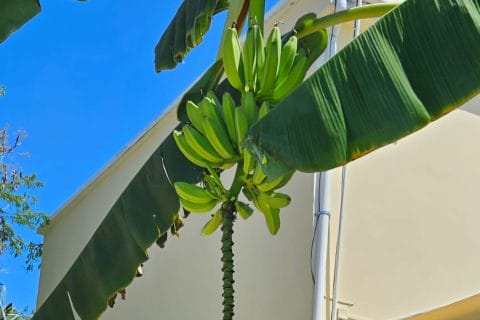 Cliquez pour zoomer ! Photo de mary12775 Thermomix par mary12775